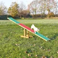 AGILITY hinta/híd 300x54x34cm max. 80kg TRIXIE