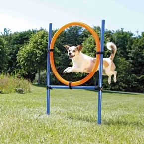 AGILITY ugrókör
