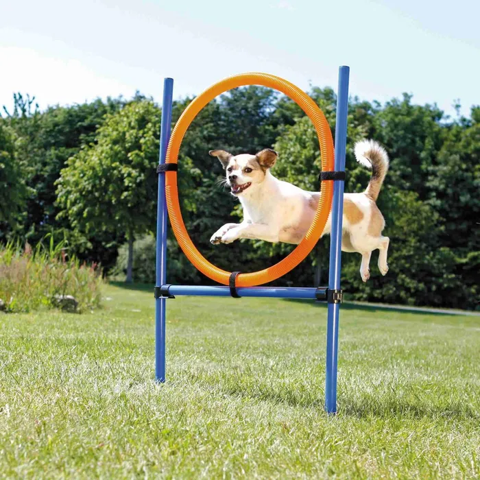 Termék főképe AGILITY kruh proskakovací