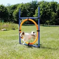 AGILITY ugrókör