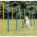 AGILITY Szlalom, rudak 12 db