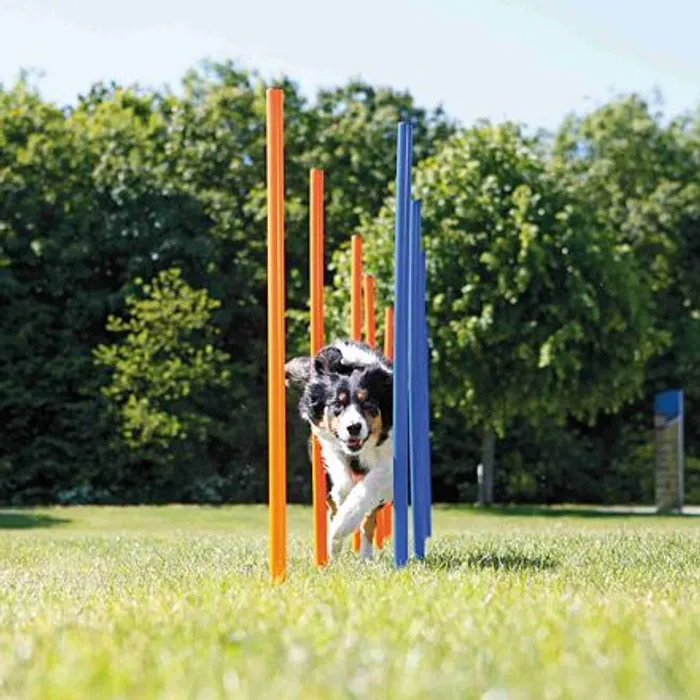 Termék főképe AGILITY Slalom, tyče 12ks