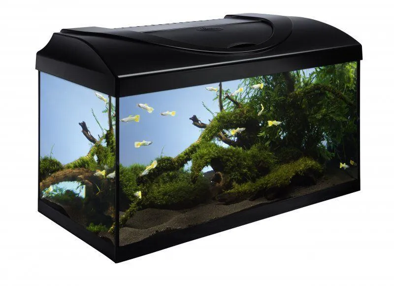 Termék főképe Akvarijní set 60 - černá 60x30x30 cm
