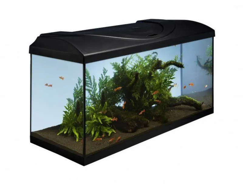 Termék főképe Akvarijní set 80 - černá 80x35x40 cm