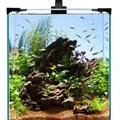 Következő termékkép Akváriumi készlet nano LED 30 30x30x35cm