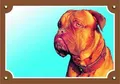 Színes jel Figyelem kutya, Dogue de Bordeaux