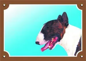 Színes jel Figyelem kutya, Bullterrier