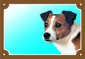 Színes jel Figyelem kutya, Jack Russel terrier