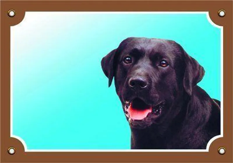Termék főképe Barevná cedulka Pozor pes, Labrador černý