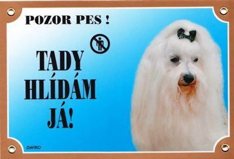 Termék főképe Barevná cedulka Pozor pes, Maltézský pinč