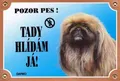 Színes jel Vigyázat kutya, pekingi