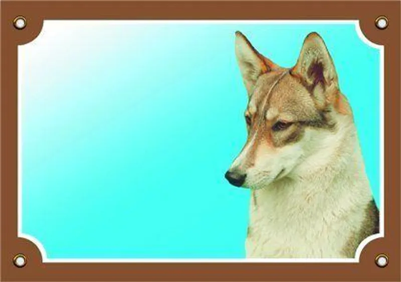Termék főképe Barevná cedulka Pozor pes, Západosibiřská lajka