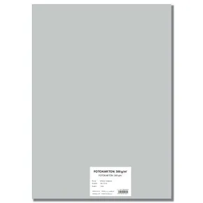 Barevný karton EXTRA 300g 50x70cm stříbrný [10 listů]