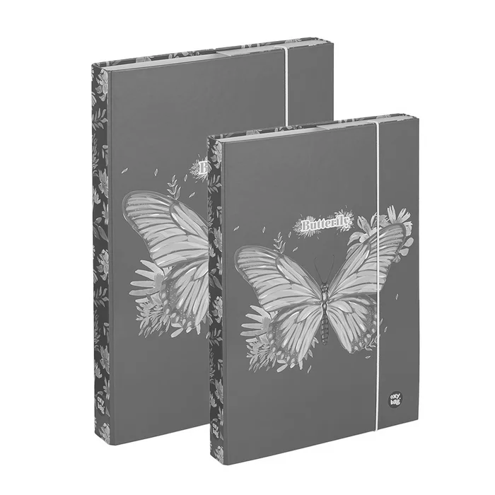 Termék főképe Box A4+A5 Motýl