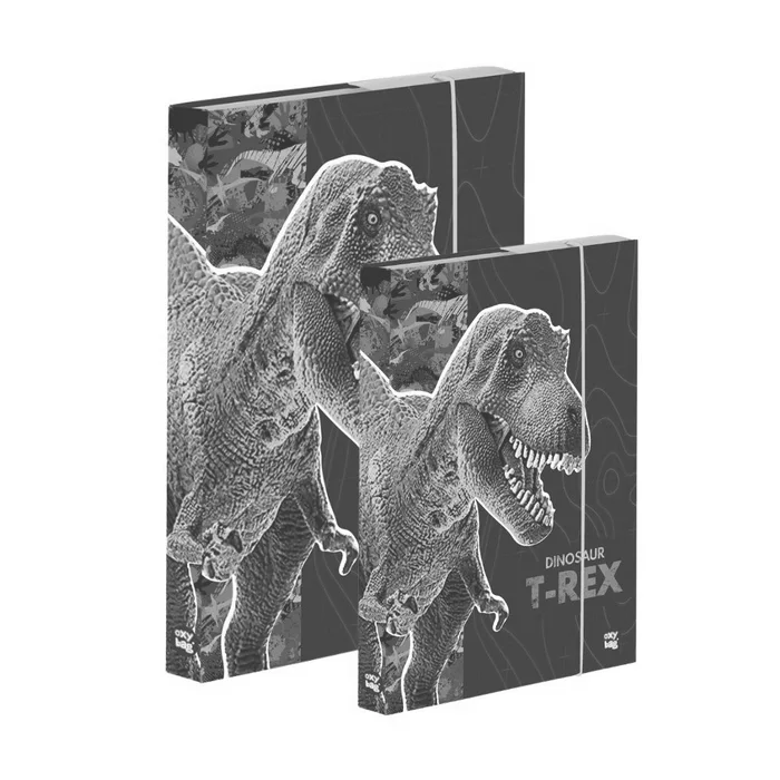 Termék főképe Box A4+A5 Premium Dinosaurus