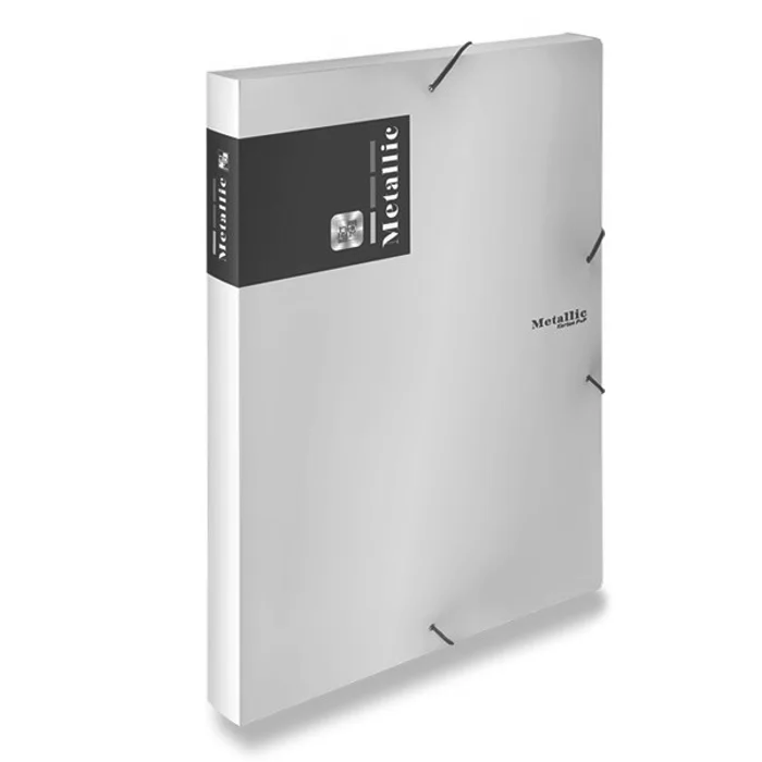 Termék főképe Box na dokumenty Metallic stříbrná