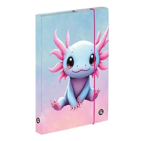A4-es axolotl jegyzetfüzet doboz