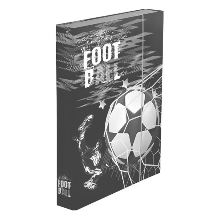 Termék főképe Box na sešity A4 fotbal
