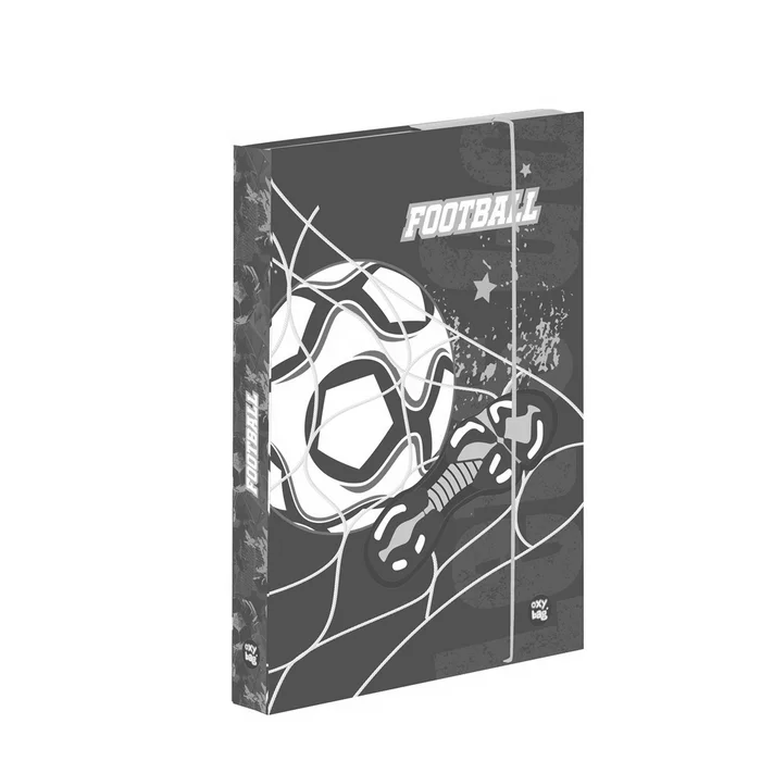 Termék főképe Box na sešity A4 fotbal