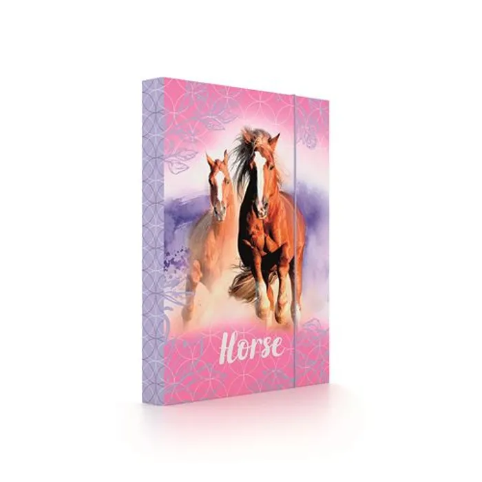 Termék főképe Box na sešity A4 Horse