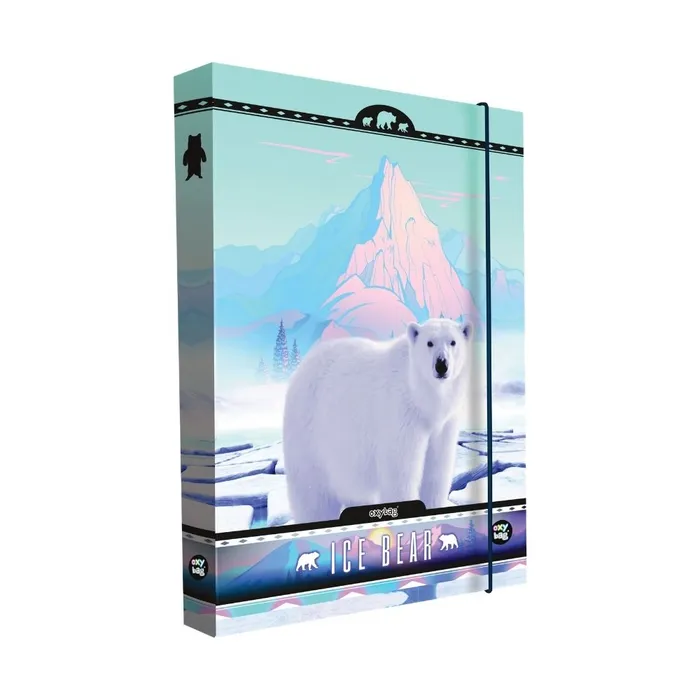 Termék főképe Box na sešity A4 Jumbo Bear