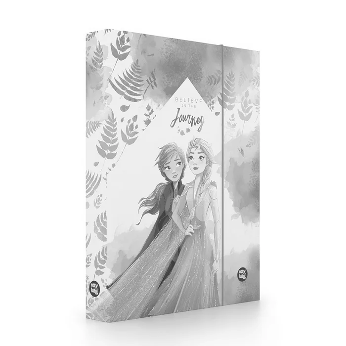 Termék főképe Box na sešity A4 Jumbo Frozen