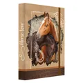 Következő termékkép Box na sešity A4 Jumbo Horse Love














