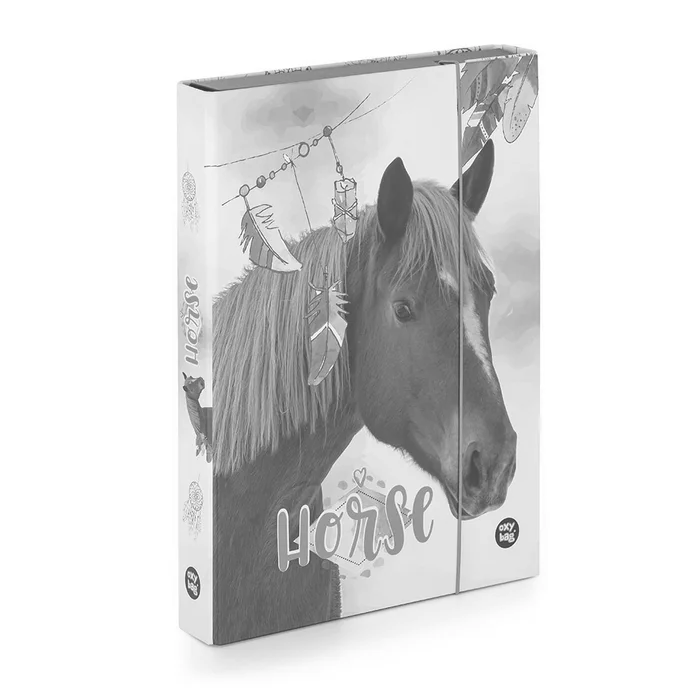 Termék főképe Box na sešity A4 Jumbo kůň romantic