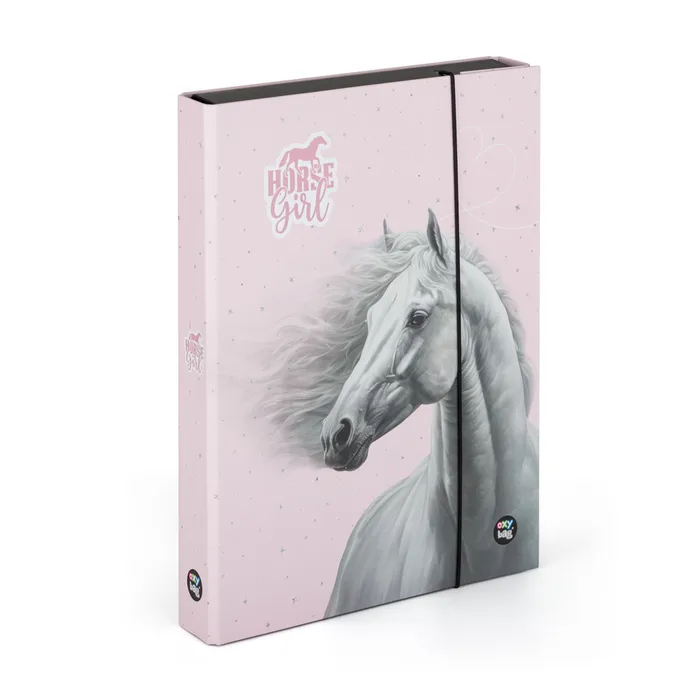 Termék főképe Box na sešity A4 Jumbo kůň romantic