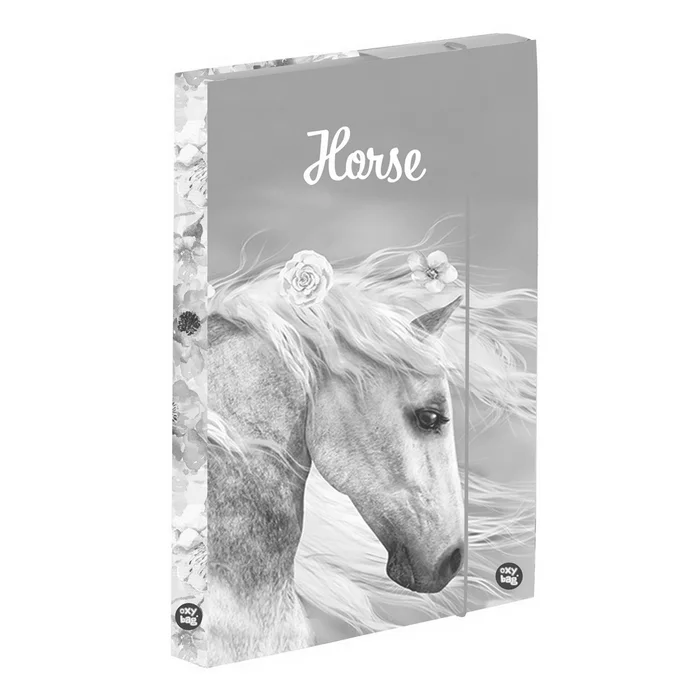 Termék főképe Box na sešity A4 Jumbo kůň romantic