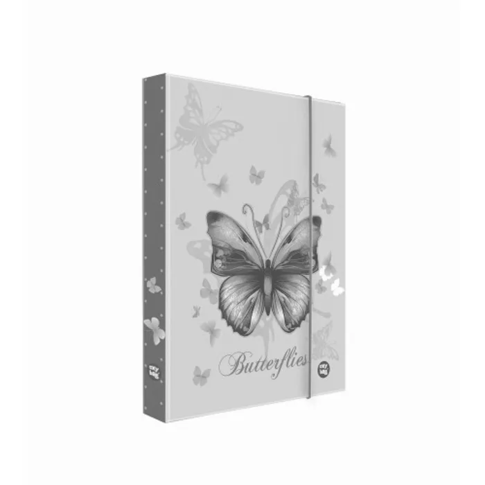 Termék főképe Box na sešity A4 Jumbo Motýl