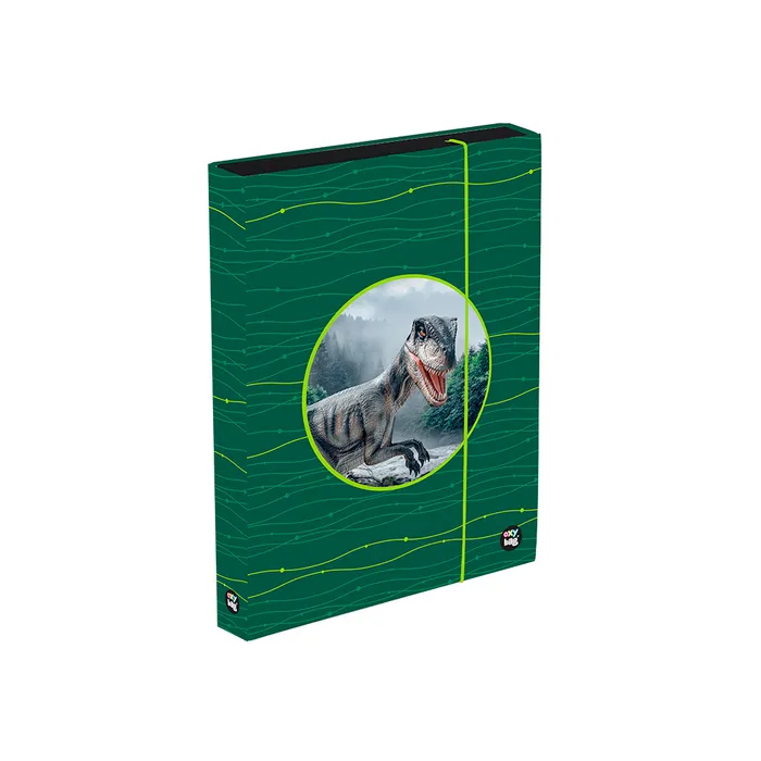 Termék főképe Box na sešity A4 Jumbo OXY Sherpy Green