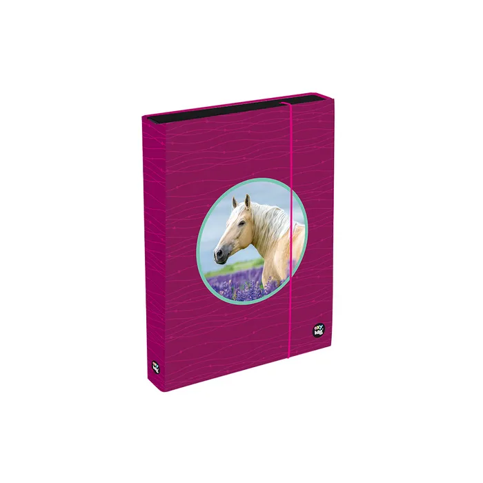 Termék főképe Box na sešity A4 Jumbo OXY Sherpy Pink