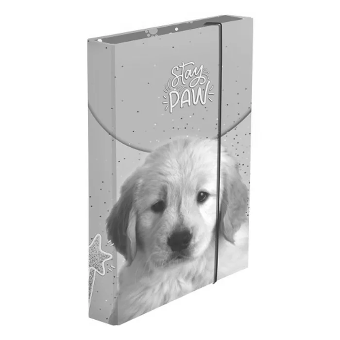Termék főképe Box na sešity A4 Jumbo pes