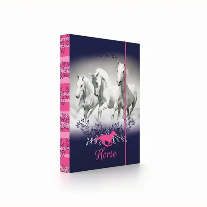 Termék főképe Box na sešity A4 Kůň
