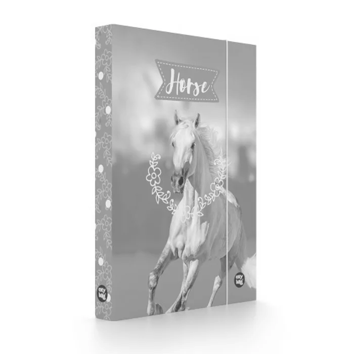 Termék főképe Box na sešity A4 kůň