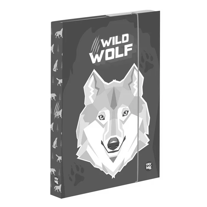 Termék főképe Box na sešity A4 vlk