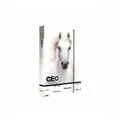 A5 füzetdoboz Jumbo GEO Wild Horse