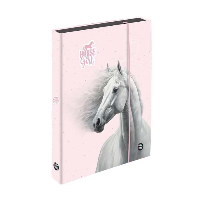 Termék főképe Box na sešity A5 Jumbo kůň romantic