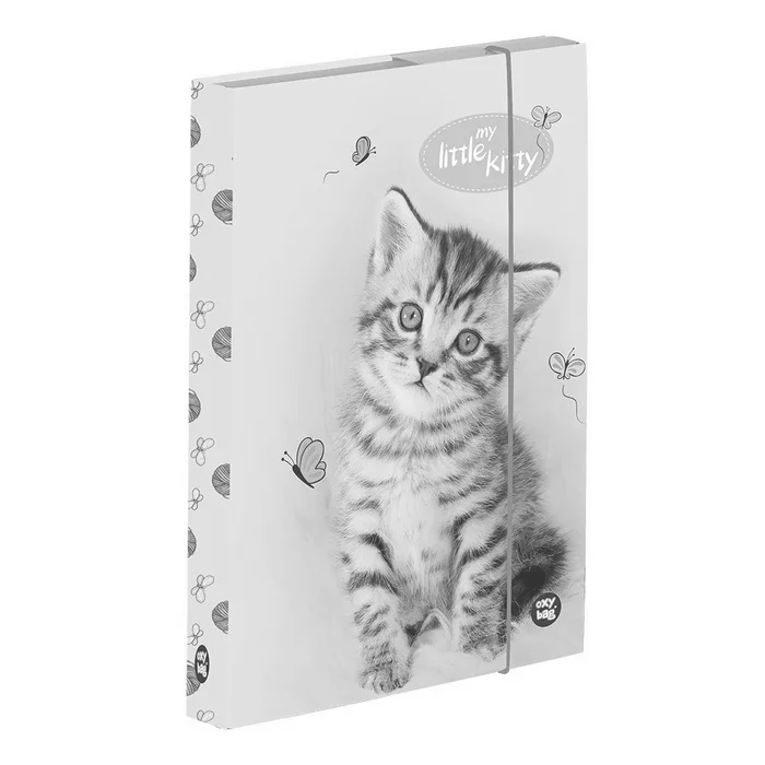Termék főképe Box na sešity A5 kočka