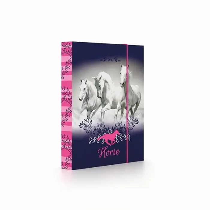 Termék főképe Box na sešity A5 Kůň