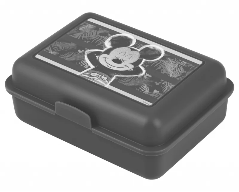 Termék főképe Box na svačinu Mickey