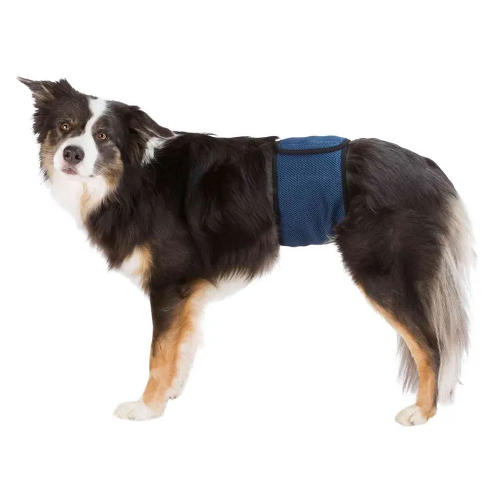 Termék főképe Břišní pás na podložky pro psa samce, tmavě modrý M: pas: 45-55 cm