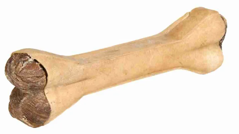 Termék főképe Buvolí kost plněná dršťkami 15 cm 90 g