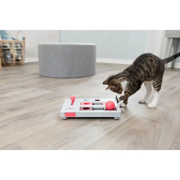 Termék főképe Cat Activity Brain Mover desková hra 25x20 cm