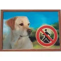 Következő termékkép 3D PSI címke, labrador retriever (bézs)