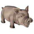 Következő termékkép Morcos malac, latex 23 cm