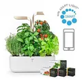 Chytrý květináč Potager Connect, bílý, s náplní 4ks, Moonlight Gold, Véritable