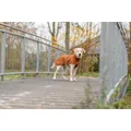 Következő termékkép CityStyle pláštěnka DUBLIN, rezaváXS: 25cm, hruď: 42-62cm, krk: 32cm