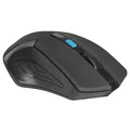 Következő termékkép Defender Mouse Accura MM-275, 1600 DPI, 2,4 [GHz], optikai, 6 tl., 1 kerék, vezeték nélküli, fekete